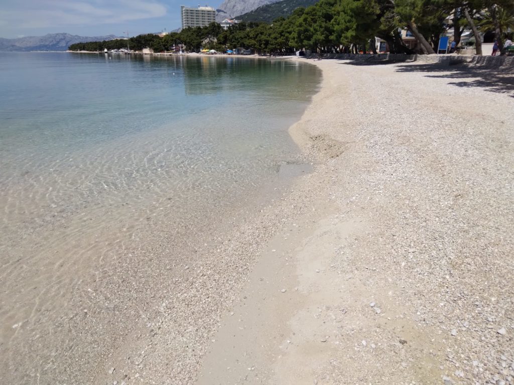 inbound8757451860371197215