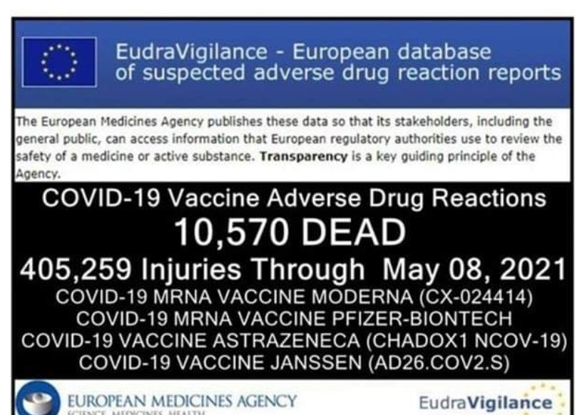 inbound7228340813078609842