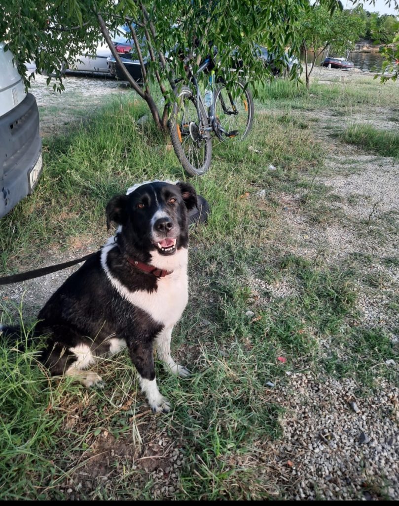 inbound1517895468974824437