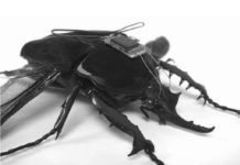 GRAFEN-OKSID u cjepivu, štapićima za briseve, u maskama otkrivaju isti zločinački plan