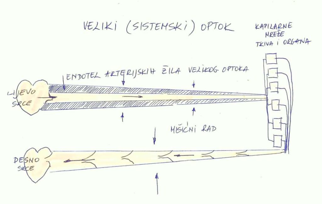 inbound3677572086238357425