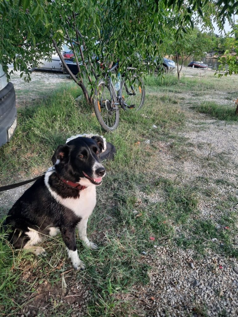 inbound3803623872500272796