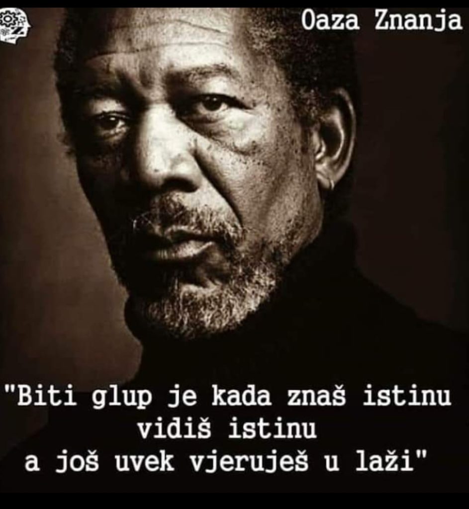 inbound4073612558752832504