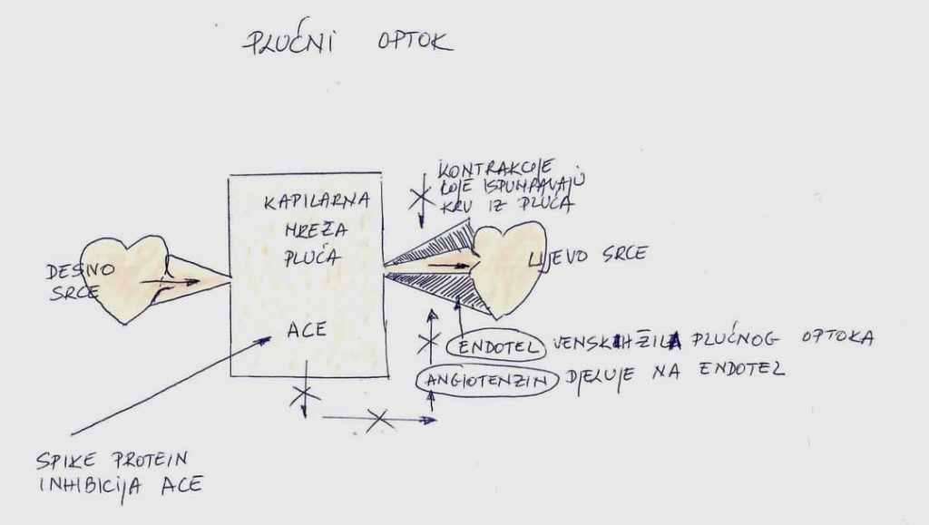 inbound5942247200189659564