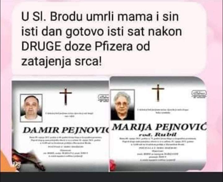 inbound7852226727618124954