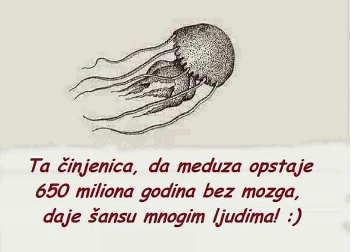 inbound1283881733377577246