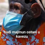 inbound177926885219784756