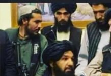 Plenkovićevu molbu da se cijepite, dr. Zelenko smatra pozivom na genocid, primanje biološkog oružja!