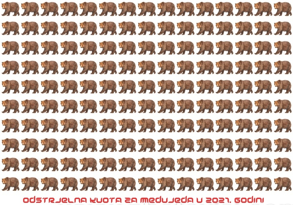 inbound1120072845637153695