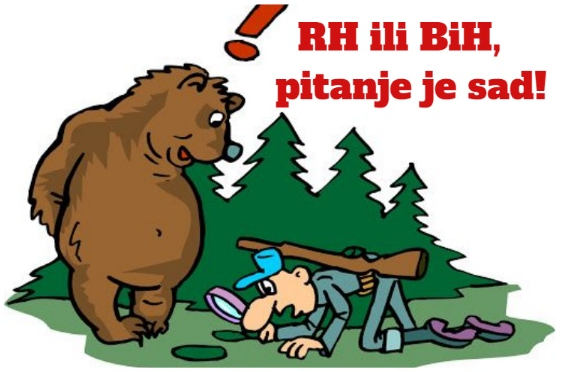 inbound3158432844272371240