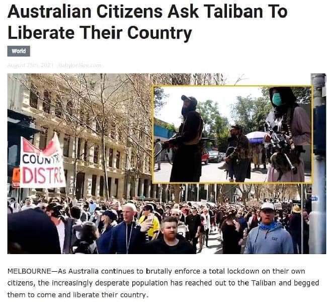 inbound3168290411160041005