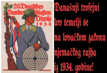 Zaštićeni smeđi medvjed: Od 2005. do 2018. godine u lovu je ubijeno 1235 medvjeda!