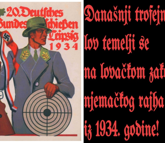 Zaštićeni smeđi medvjed: Od 2005. do 2018. godine u lovu je ubijeno 1235 medvjeda!