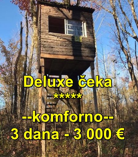 inbound7227951002398978985