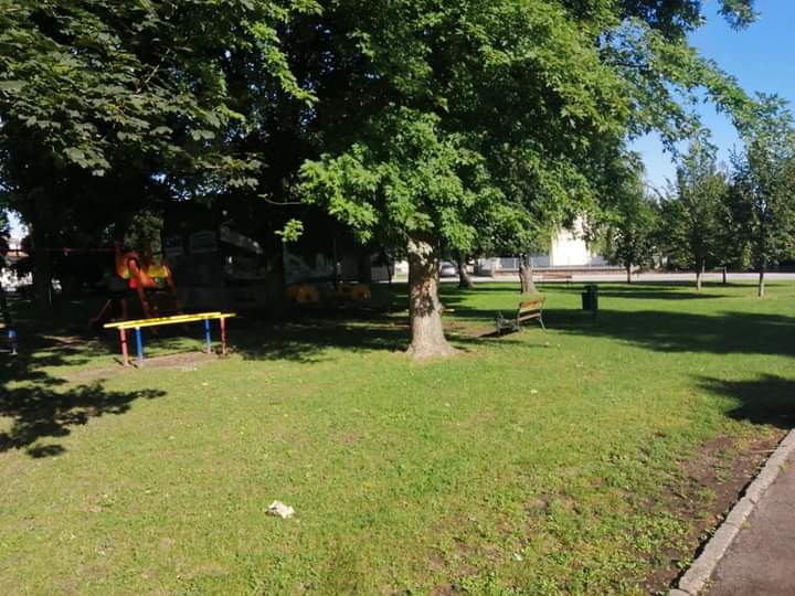 inbound7969580355724599906