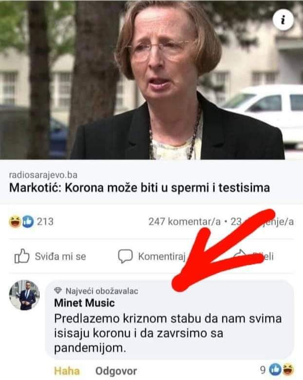 inbound8756207674166831111