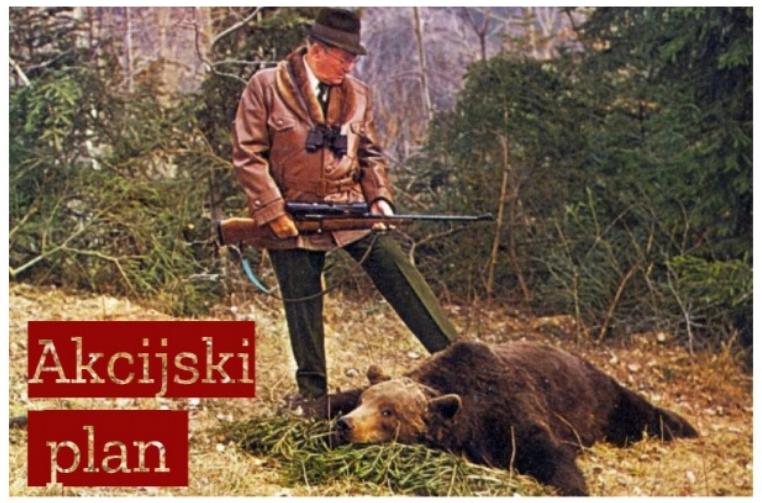 inbound8974183416830226097