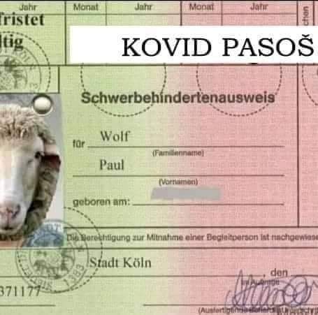 inbound2065756242170439983