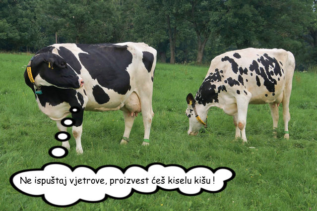 inbound5673306422675800547