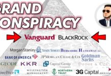 Dokument o djelovanju mikrovalnih oružja! BLACKROCK i VANGUARD su vlasnici naših stožeraša?!