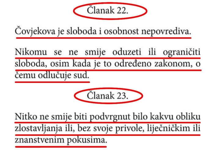 FB_IMG_1636886738515