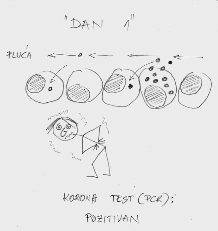 FB_IMG_1637880418141