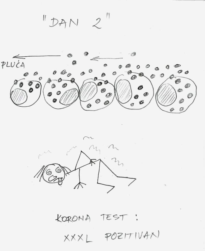 FB_IMG_1637880425769