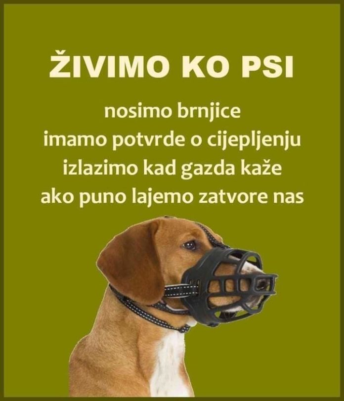 inbound656003081211414799