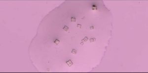 FB_IMG_1640928819746