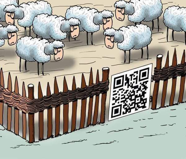 FB_IMG_1640856728524