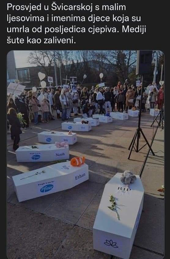 FB_IMG_1643973308064