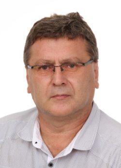 prof.dr.sc. Stjepan Strelec