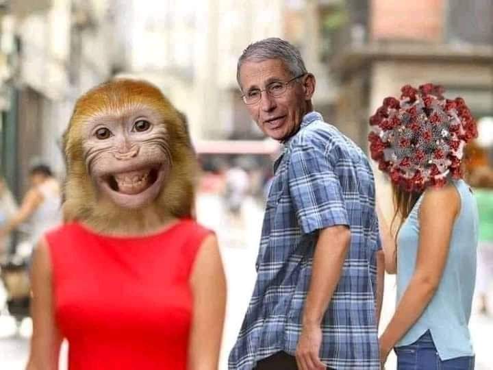 FB_IMG_1653388540405