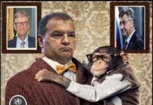 “Majmunske boginje” kruže samo u zemljama u kojima je stanovništvo dobilo cjepivo Pfizer i koristi se za unapređenje tehnokratskog velikog resetiranja