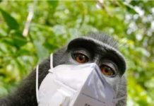 Samo Republika Hrvatska ima uvjet o broju potpisa na peticiju za održavanje referenduma izražen u postotcima od broja registriranih birača?!