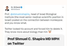 Što se krije iza povećanja broja majmunskih boginja?