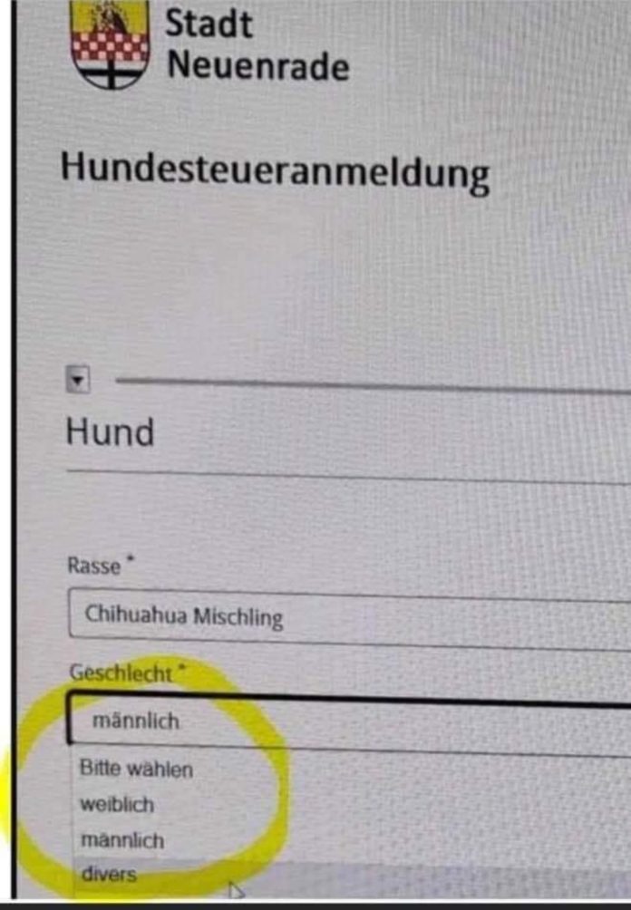 Screenshot_20220904-024219_One UI Home