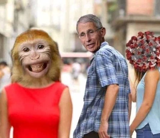 Anthony Fauci i ‘biosigurnost’ uvod u programirano zlo Novog svjetskog poretka