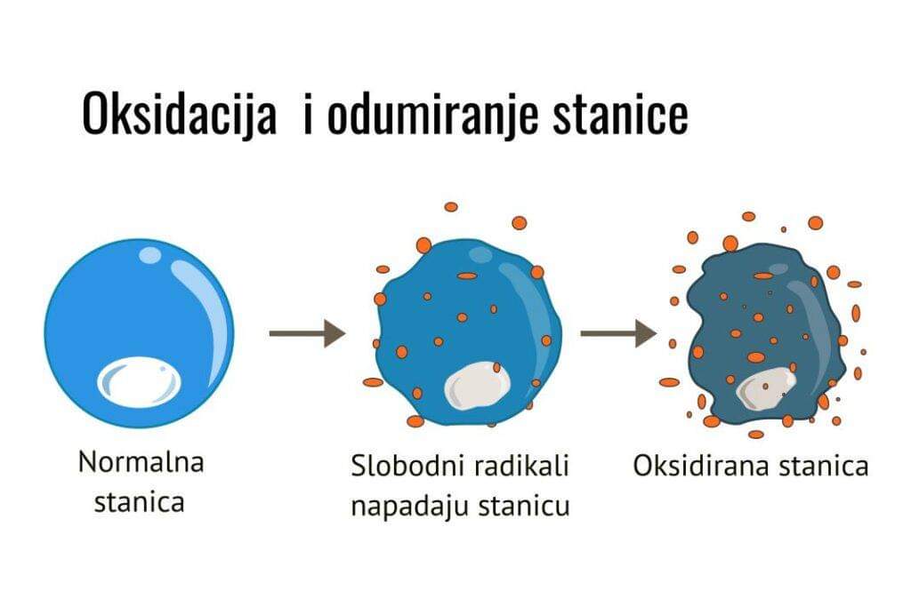 FB_IMG_1665474743662