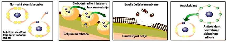 FB_IMG_1665474751420