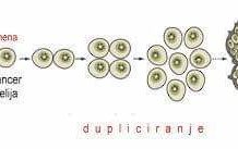 Oksidativni stres je neravnoteža između slobodnih radikala i antioksidansa u vašem tijelu