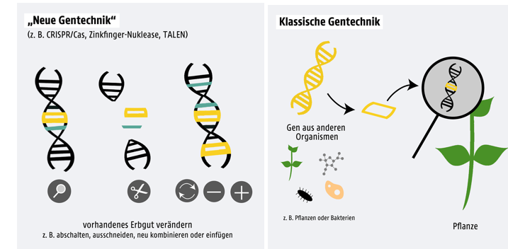 ZA CLANAK GMO 2 - 20 10 2022