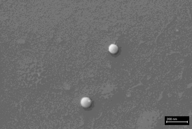 Slika 1 sastav cjepiva