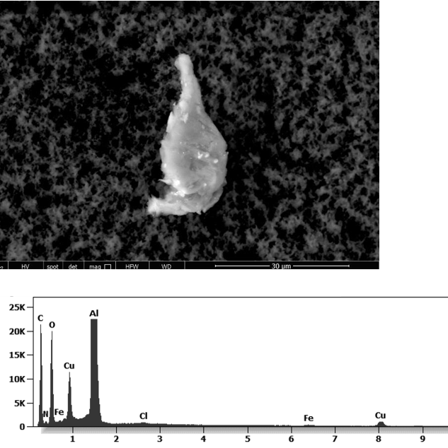 Slika 12 sastav cjepiva