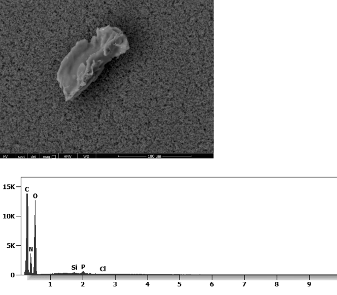 Slika 14 sastav cjepiva