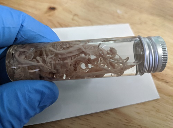 Slika 2 ZNANSTVENE VIJESTI 96 DIO