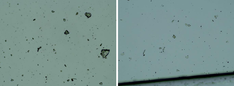 Slika 2 a sastav cjepiva