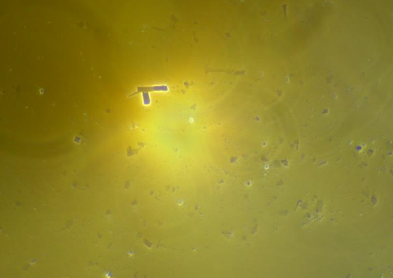 Slika 2 c sastav cjepiva