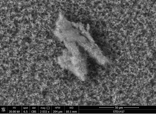 Slika 3 a sastav cjepiva