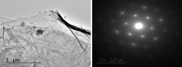 Slika 4 a b sastav cjepiva